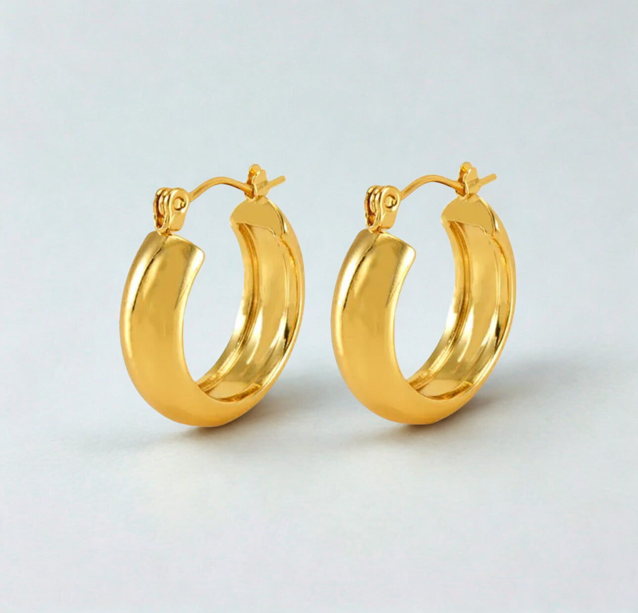 Encanto earrings