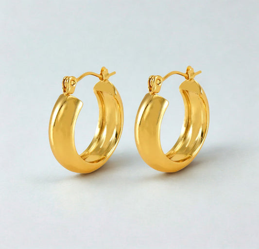 Encanto earrings